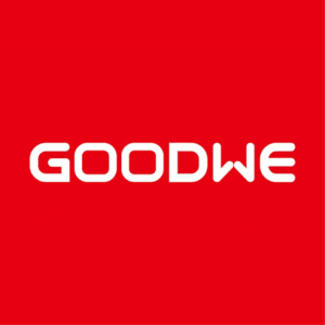 GOODWELOGO2